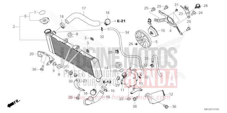 RADIATOR for Forza 750 MAT WARM ASH METALLIC (YR386) from 2025